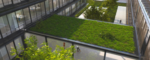 Toit de Bureau  - Toit vert, composé de gazon et de gravillon 